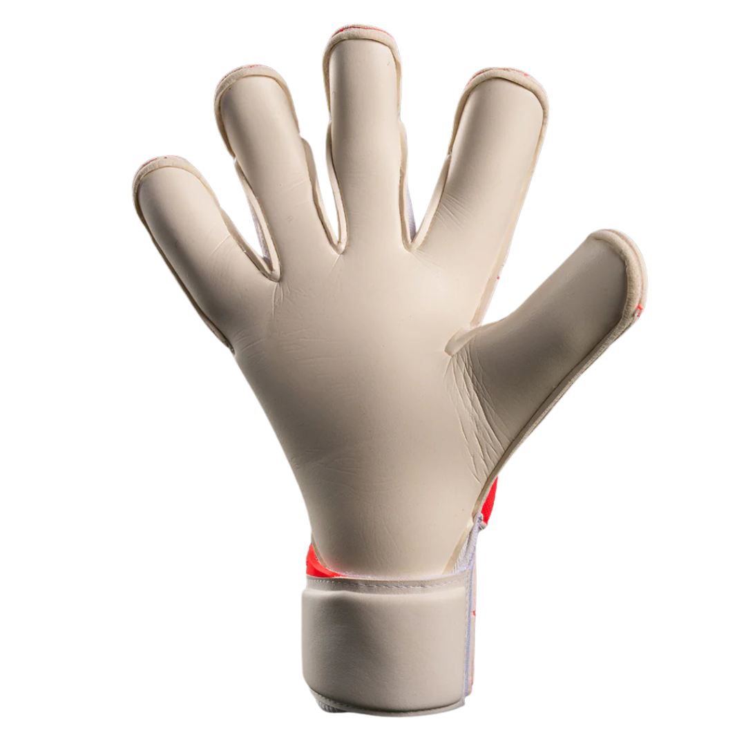 NXT Pro Doubters HYL