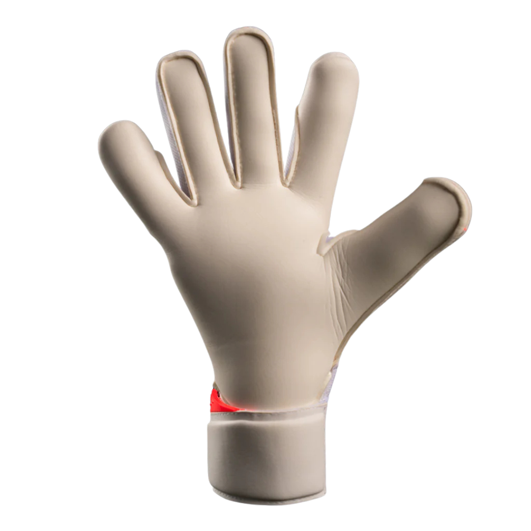 NXT Pro Doubters VTX