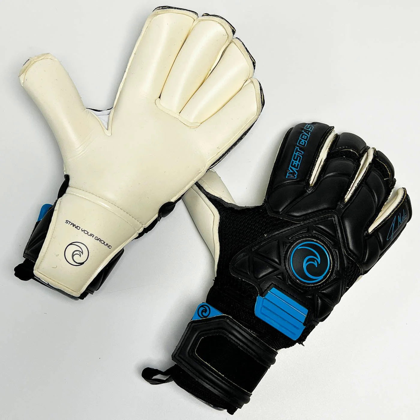 Quantum Midnight Edition